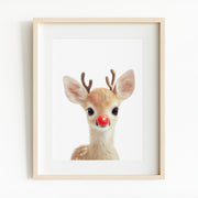Rudolph
