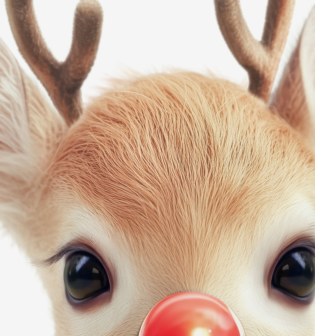 Rudolph Face
