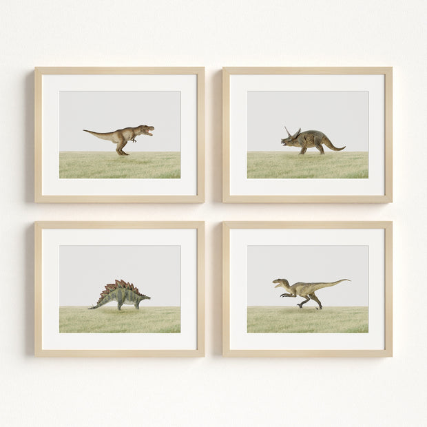Dinosaurs - Set of 4 Boy Room Decor Prints