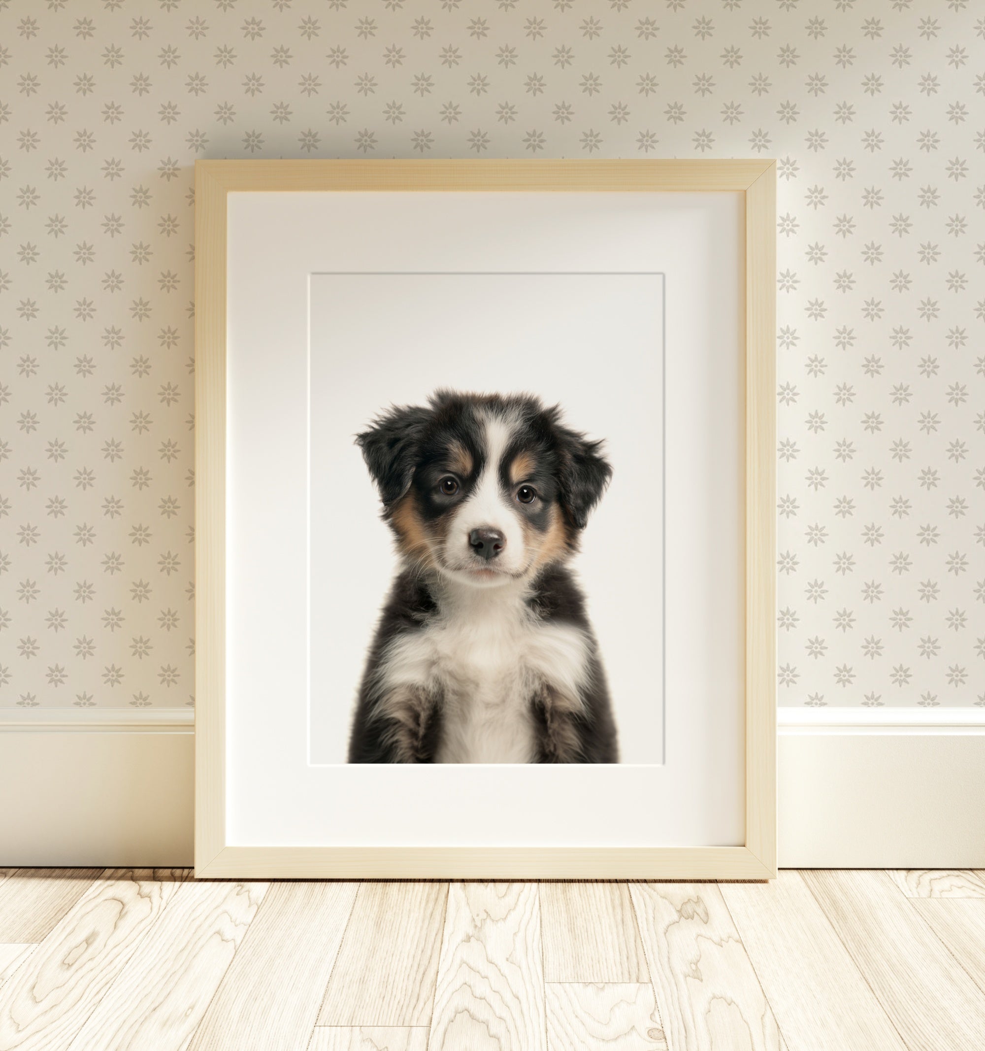 The Baby Animals 2026 Collection - Classic