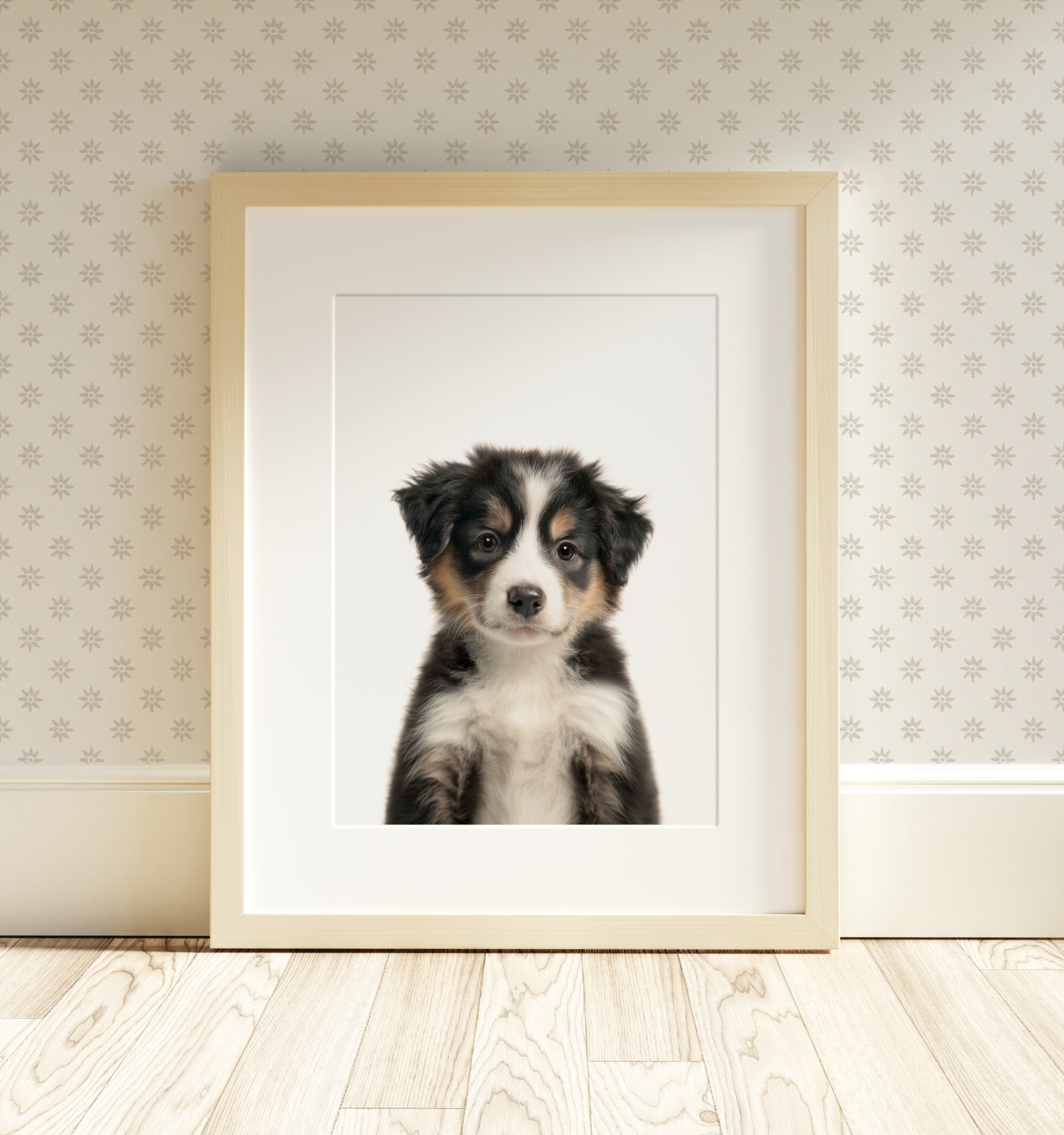 The Baby Animals 2026 Collection - Classic