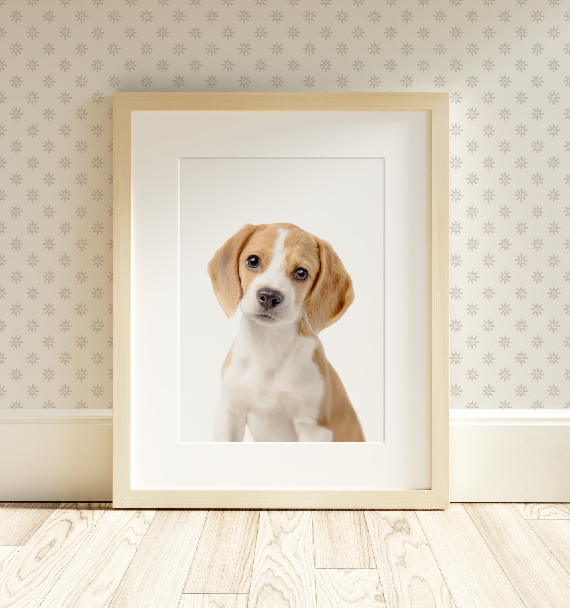 The Baby Animals 2026 Collection - Classic