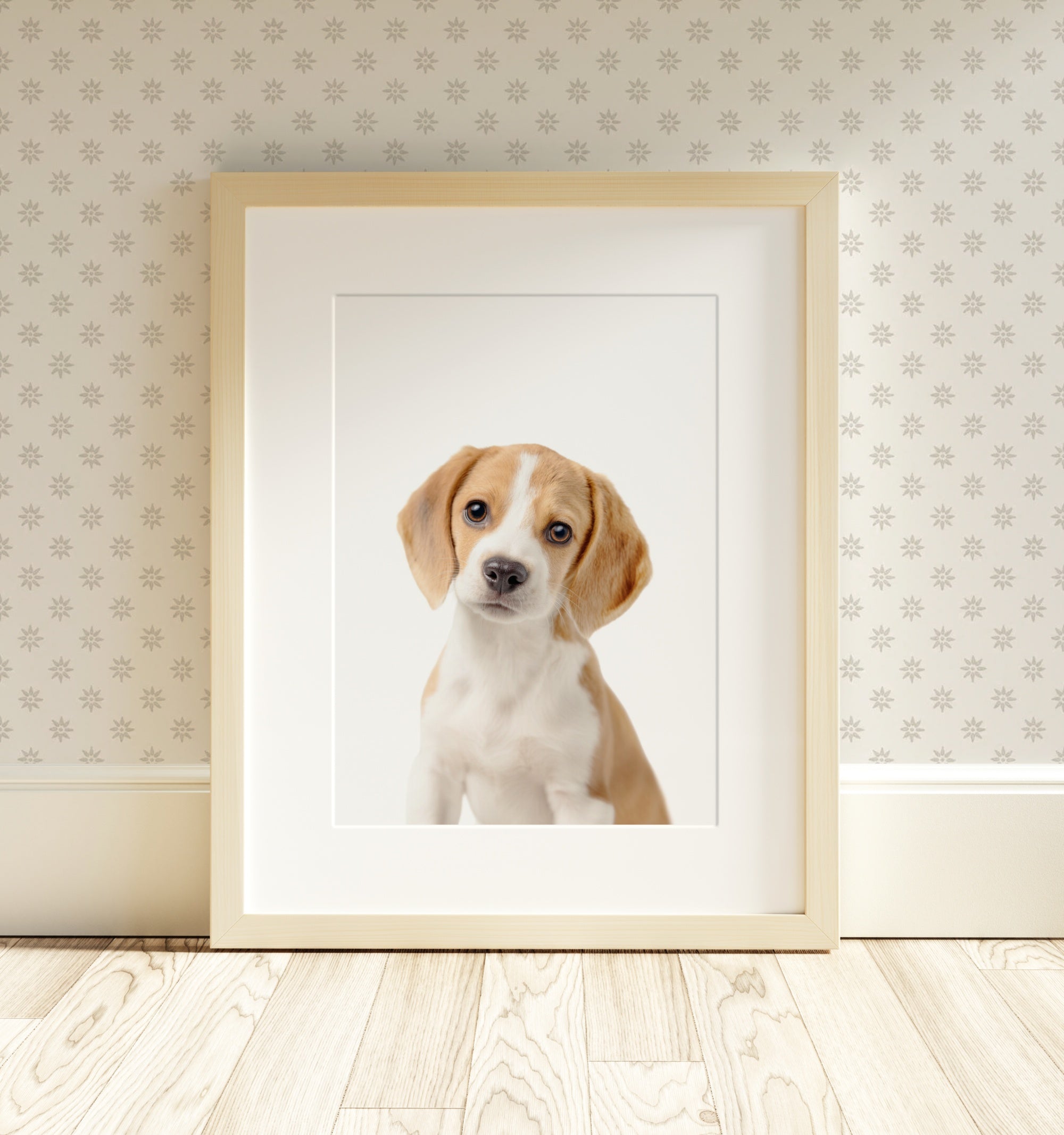 The Baby Animals 2026 Collection - Classic