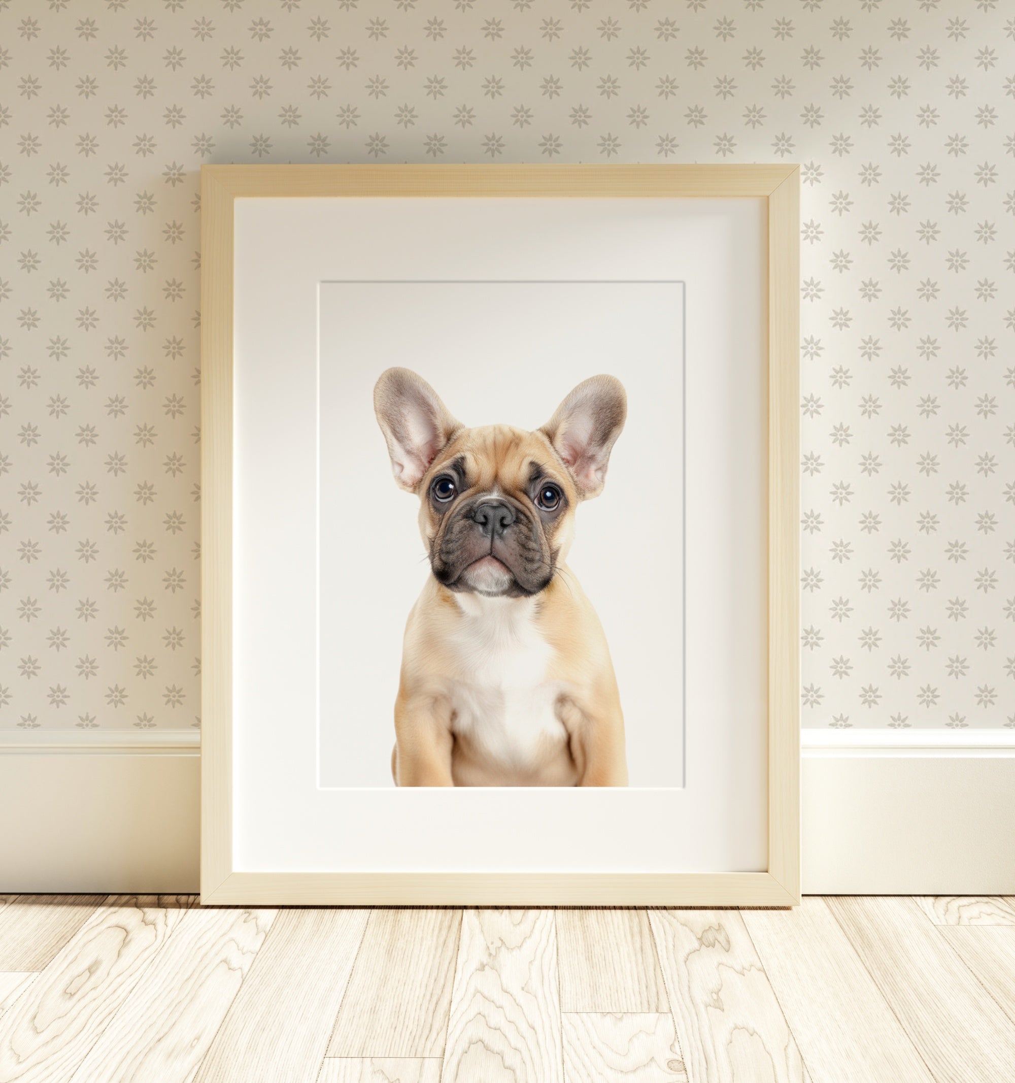 The Baby Animals 2026 Collection - Classic