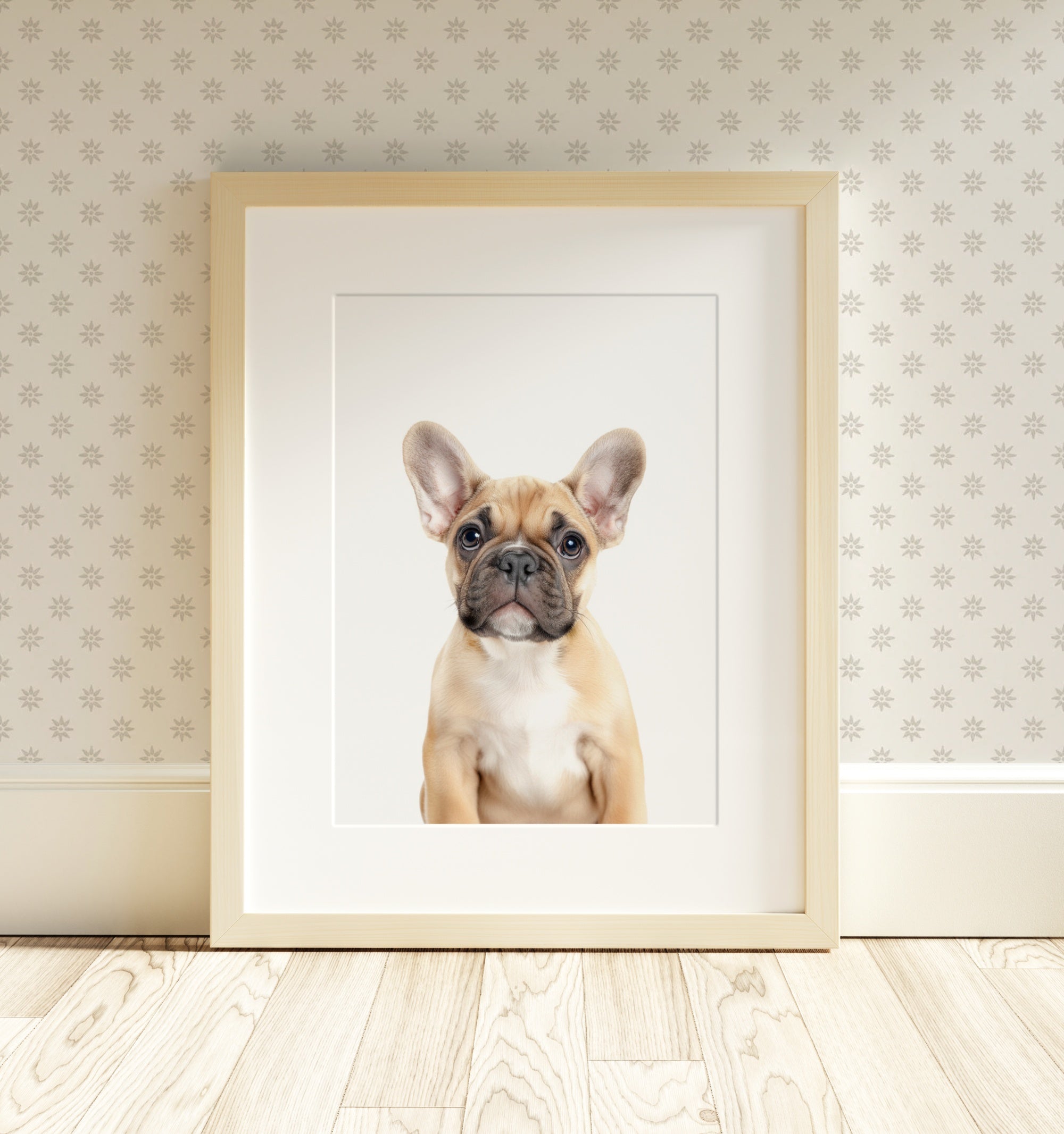 The Baby Animals 2026 Collection - Classic