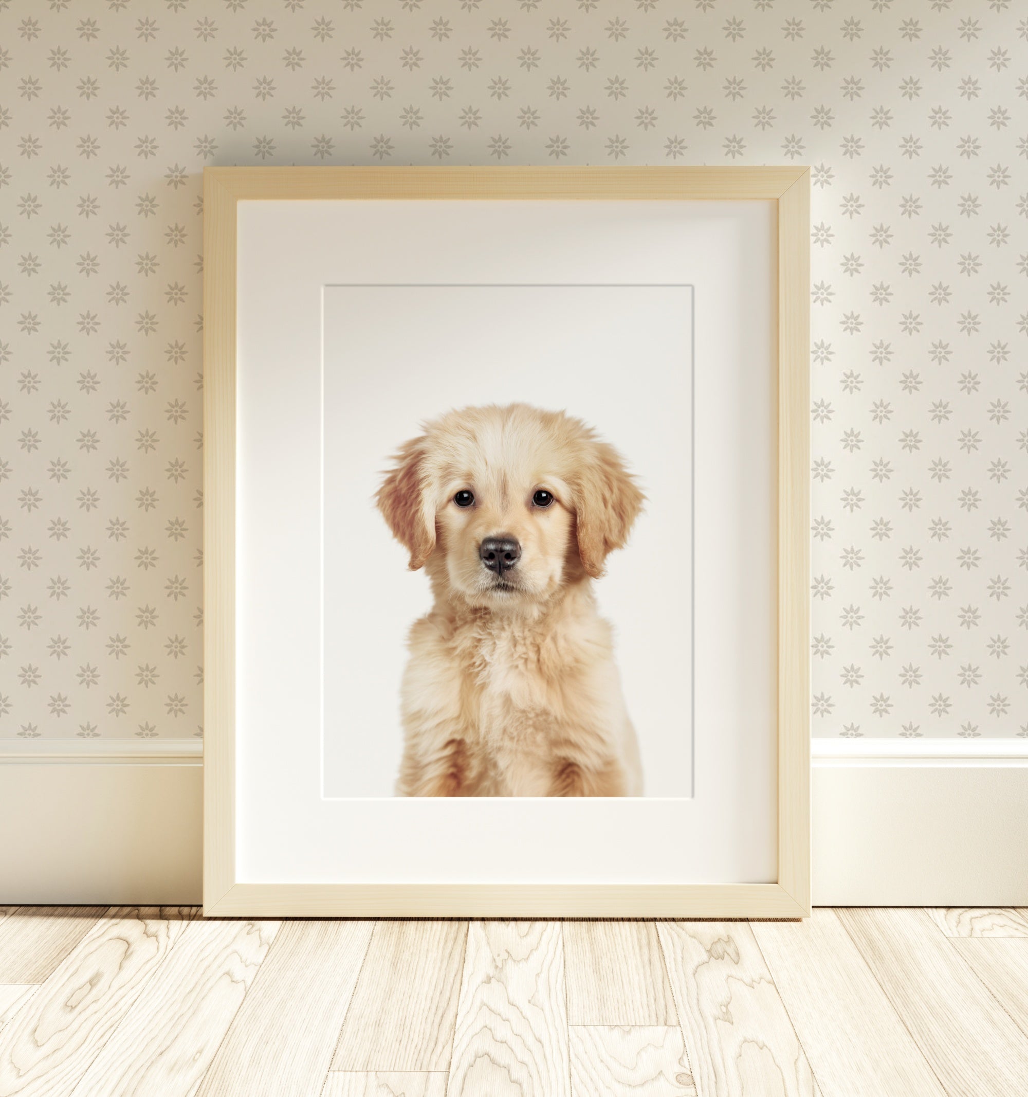 The Baby Animals 2026 Collection - Classic