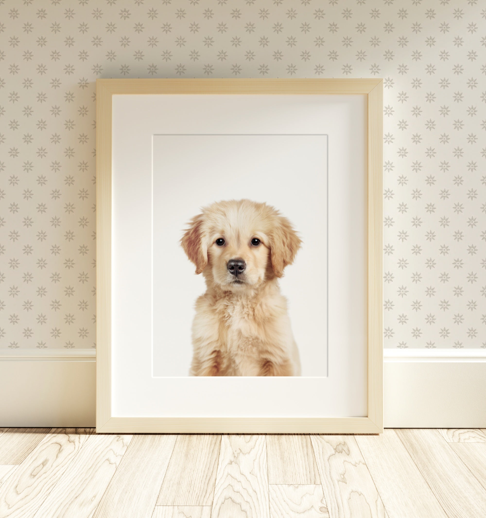 The Baby Animals 2026 Collection - Classic