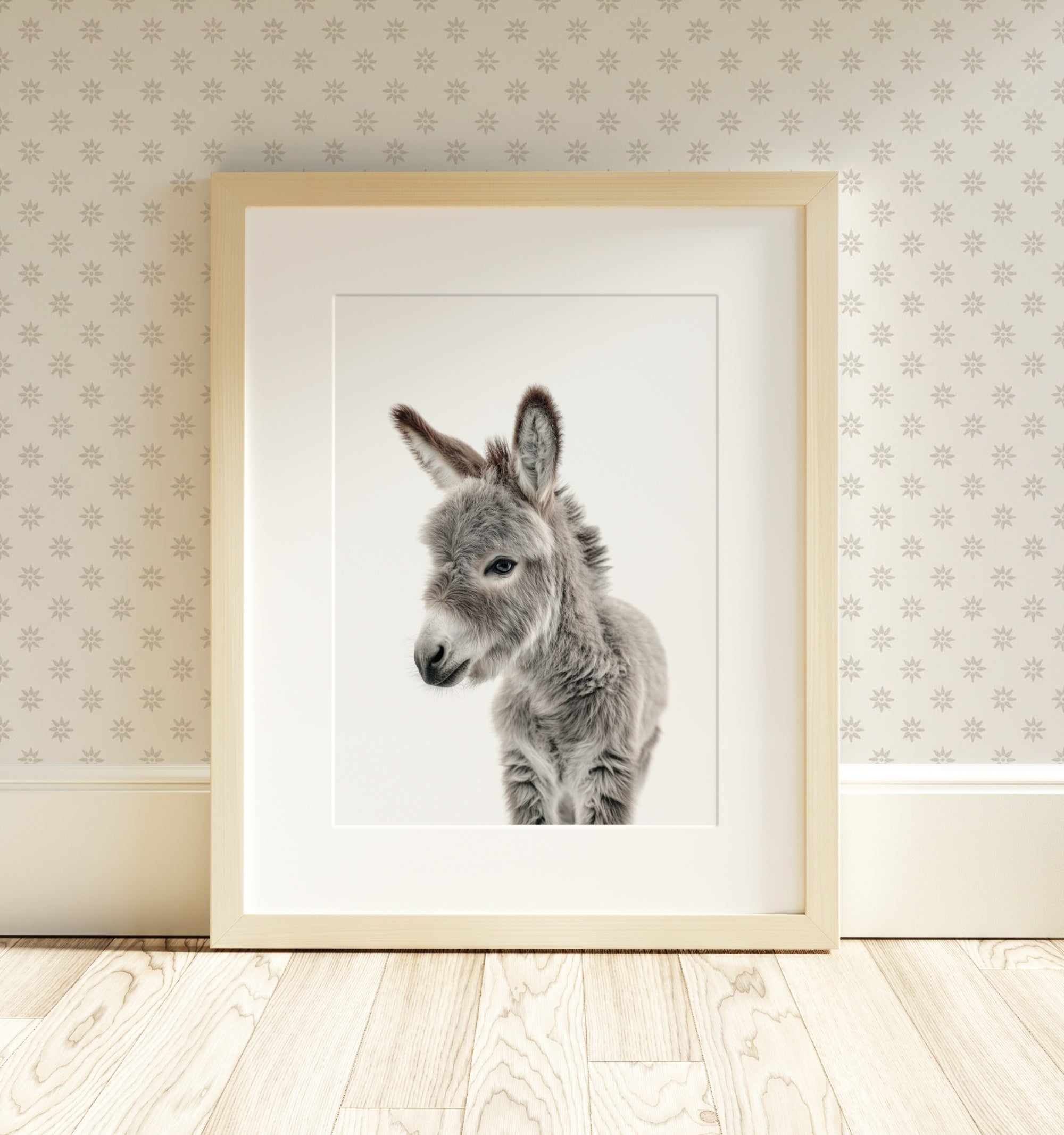 The Baby Animals 2026 Collection - Classic