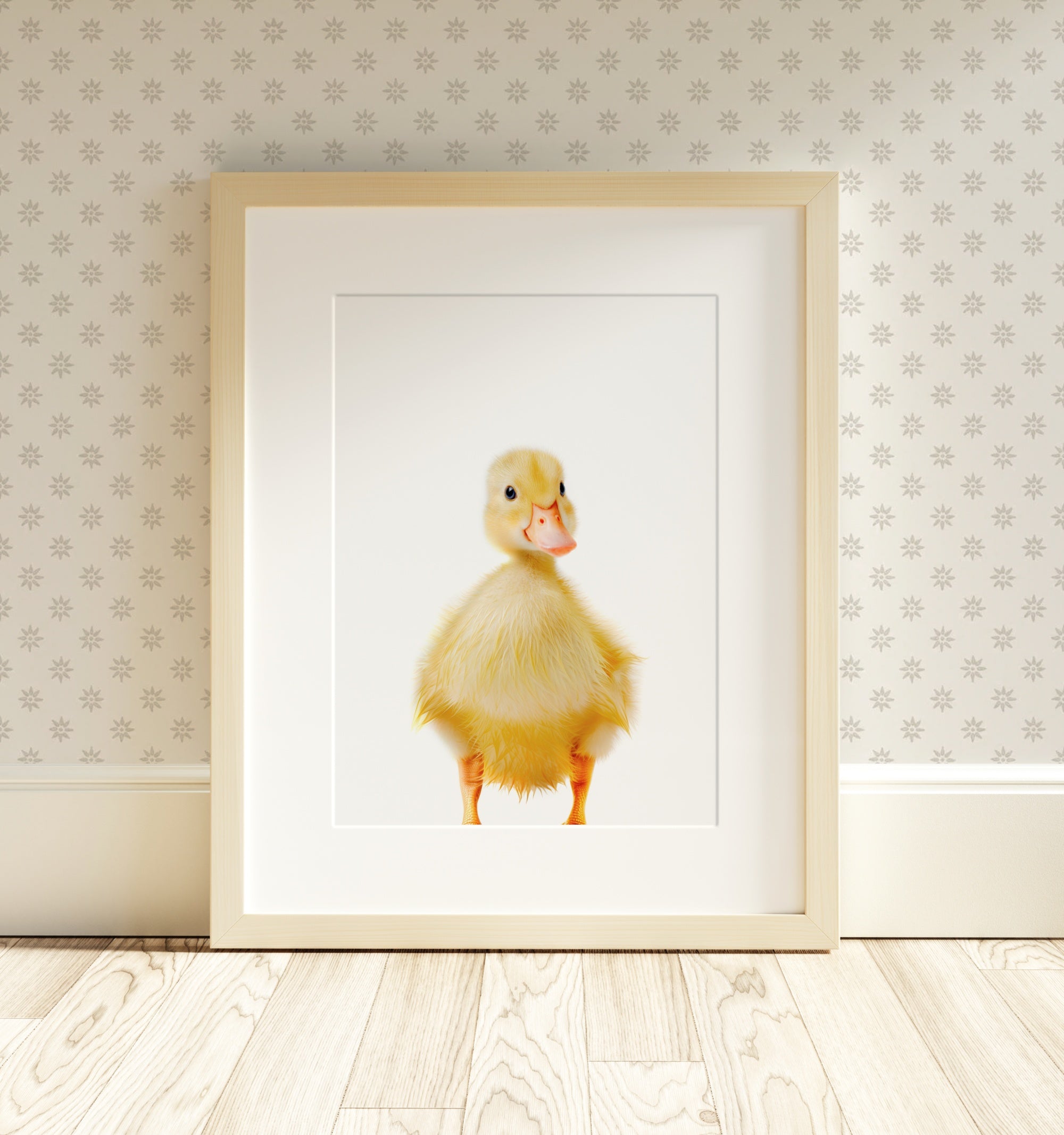 The Baby Animals 2026 Collection - Classic