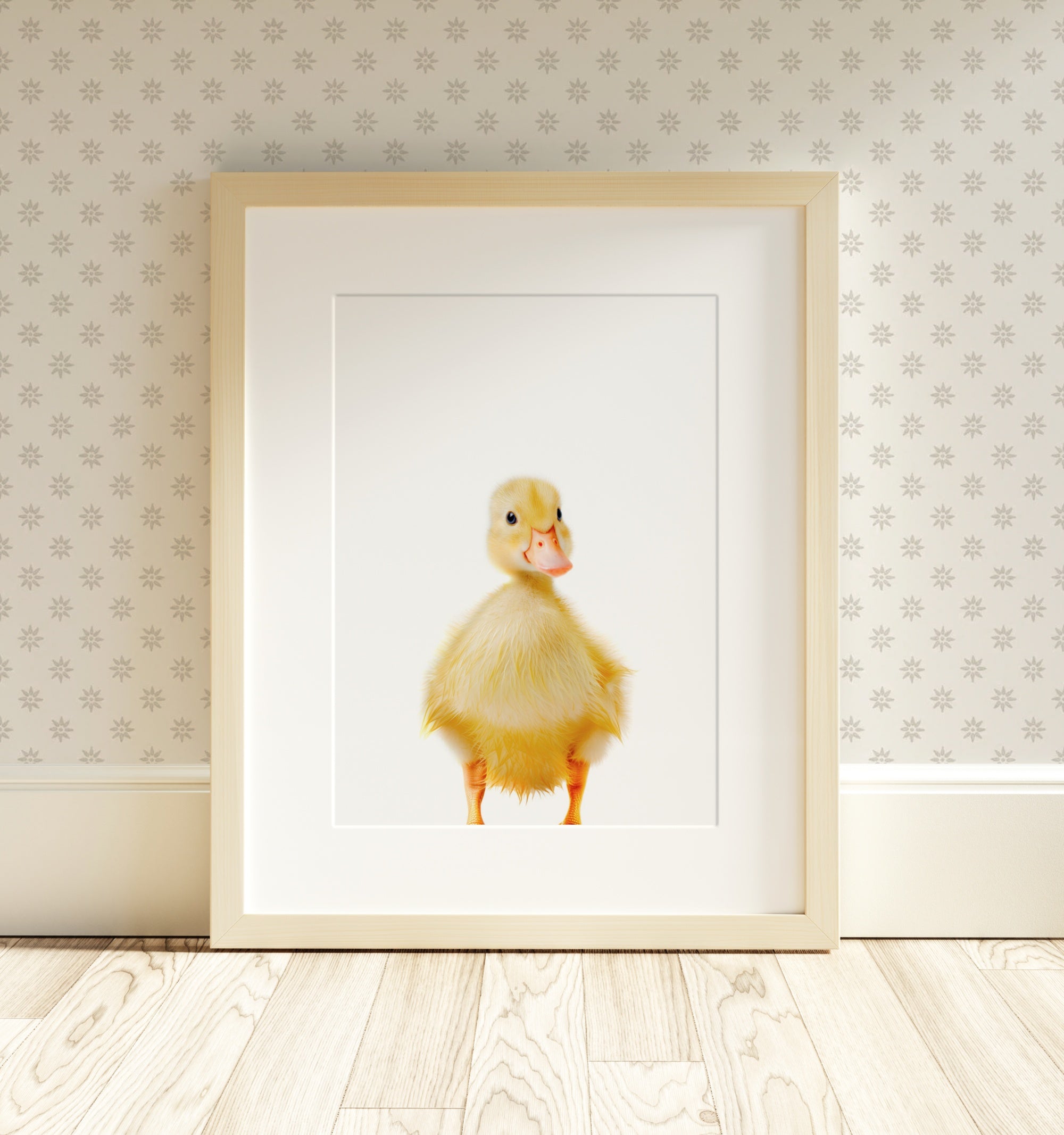 The Baby Animals 2026 Collection - Classic