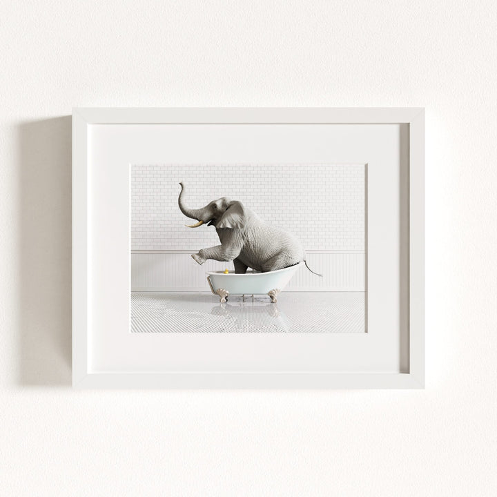 Elephant in Blue Bathtub