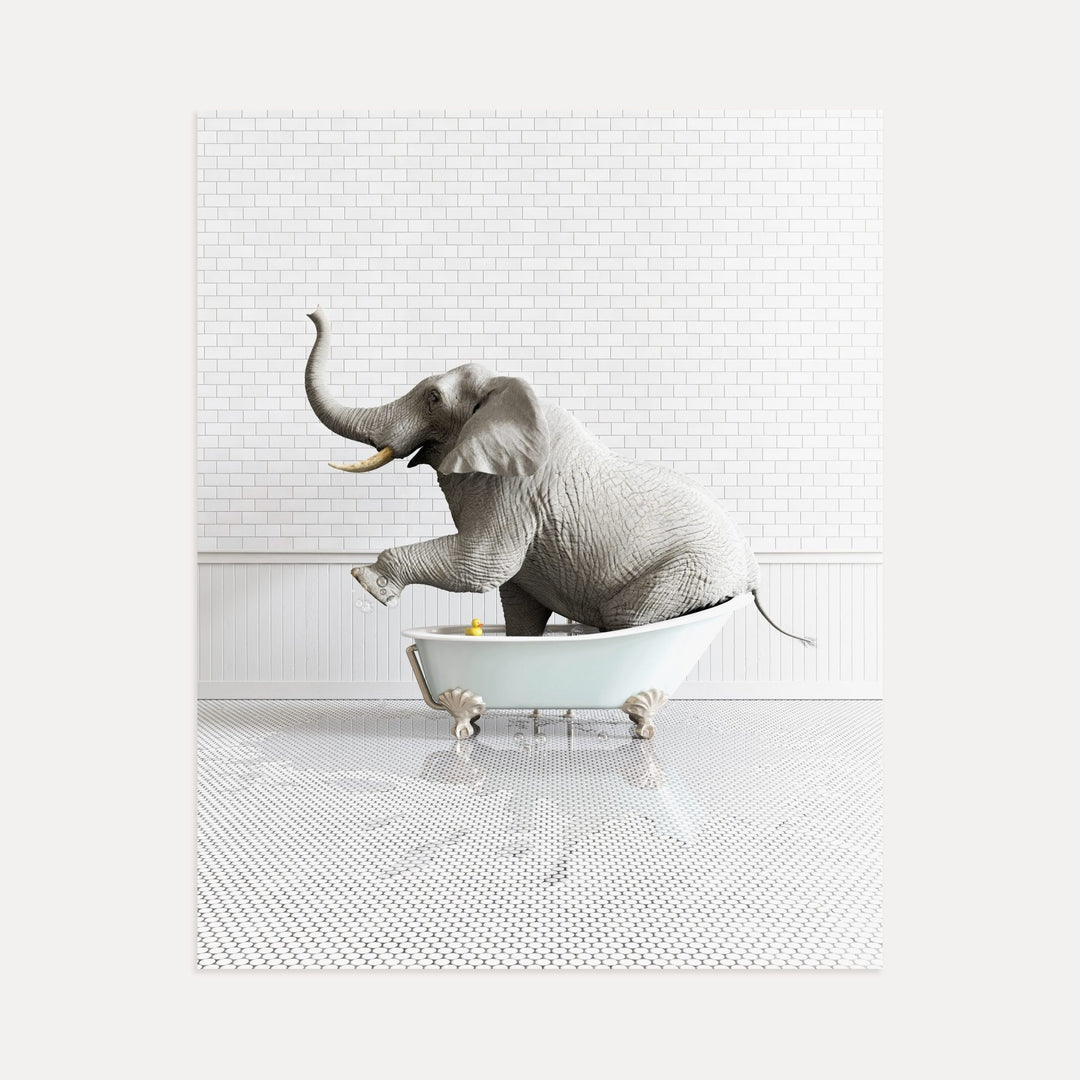 Elephant in Blue Bathtub