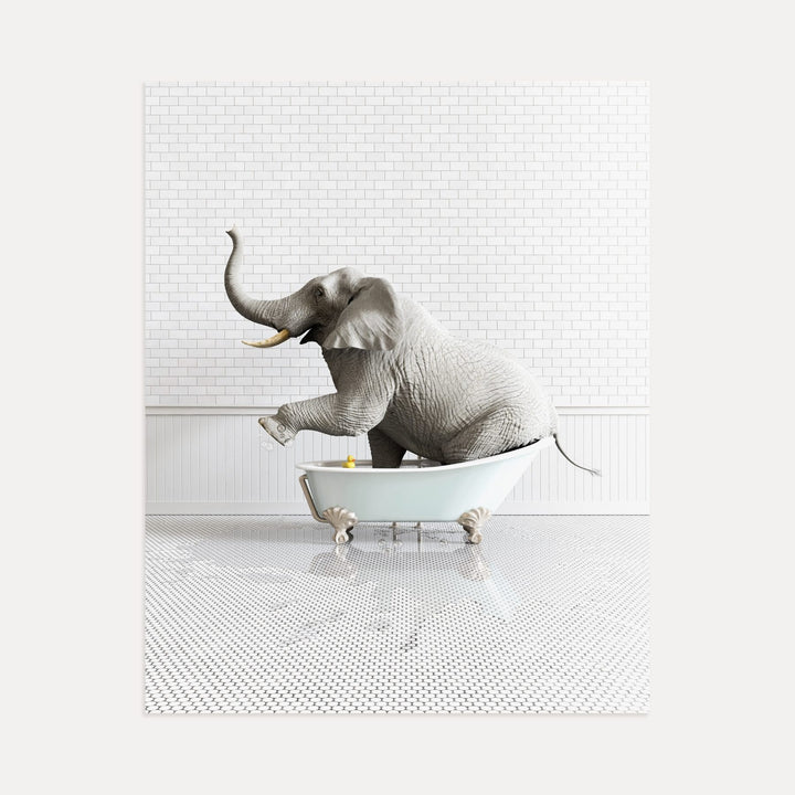 Elephant in Blue Bathtub