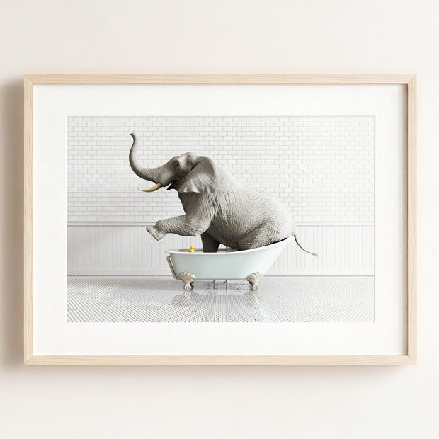 Elephant in Blue Bathtub