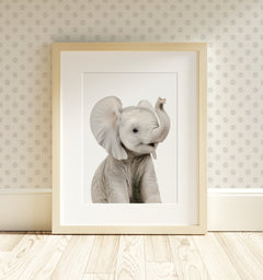 The Baby Animals 2026 Collection - Classic