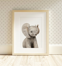 The Baby Animals 2026 Collection - Classic