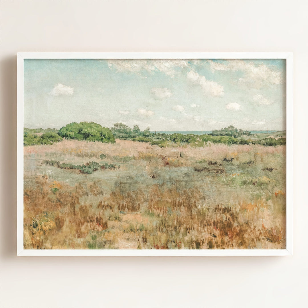 Field of Dreams