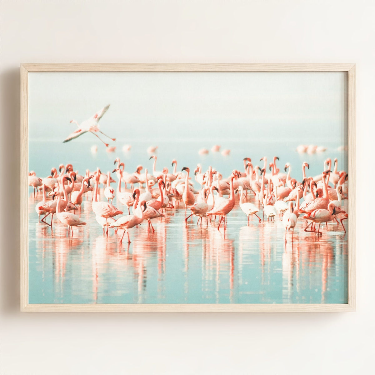 Flamingo flock — Framed