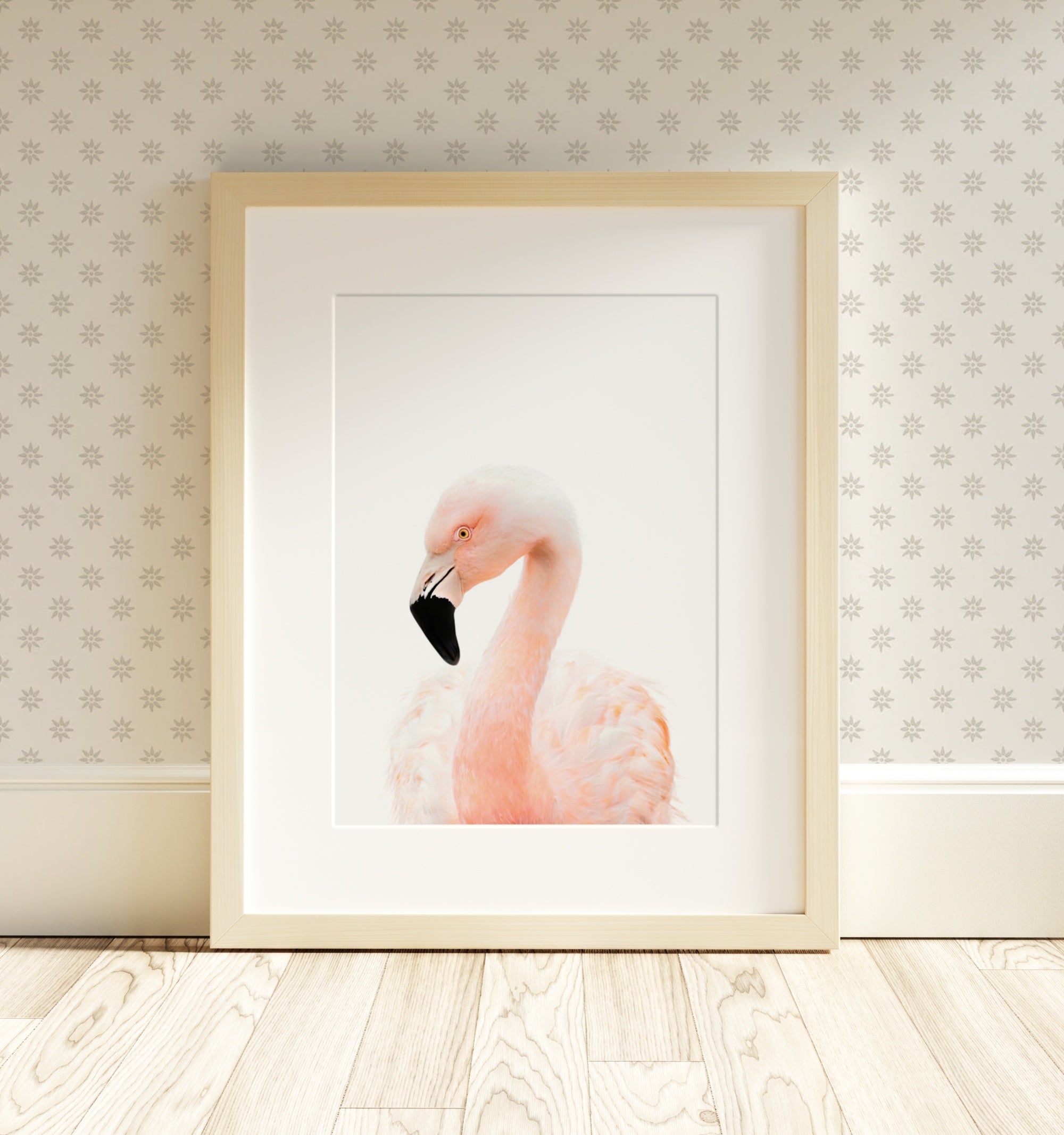 The Baby Animals 2026 Collection - Classic