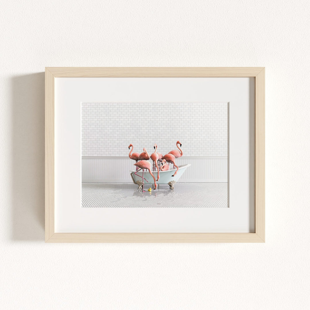 Flamingos in Blue Bathtub