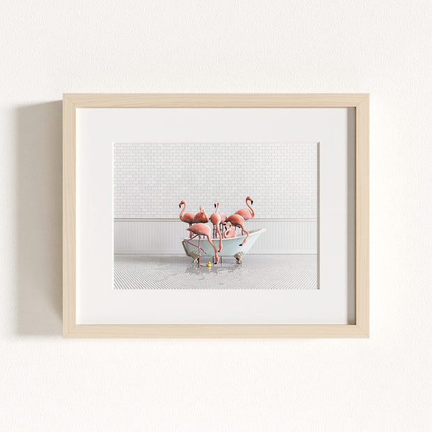Flamingos in Blue Bathtub
