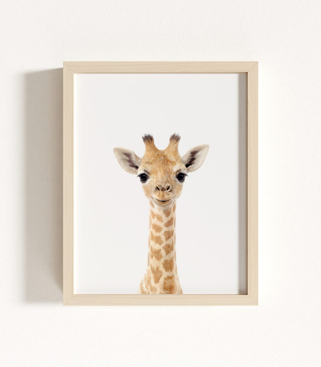 Framed Baby Safari Animals Nursery Decor - African Animals Set of 6