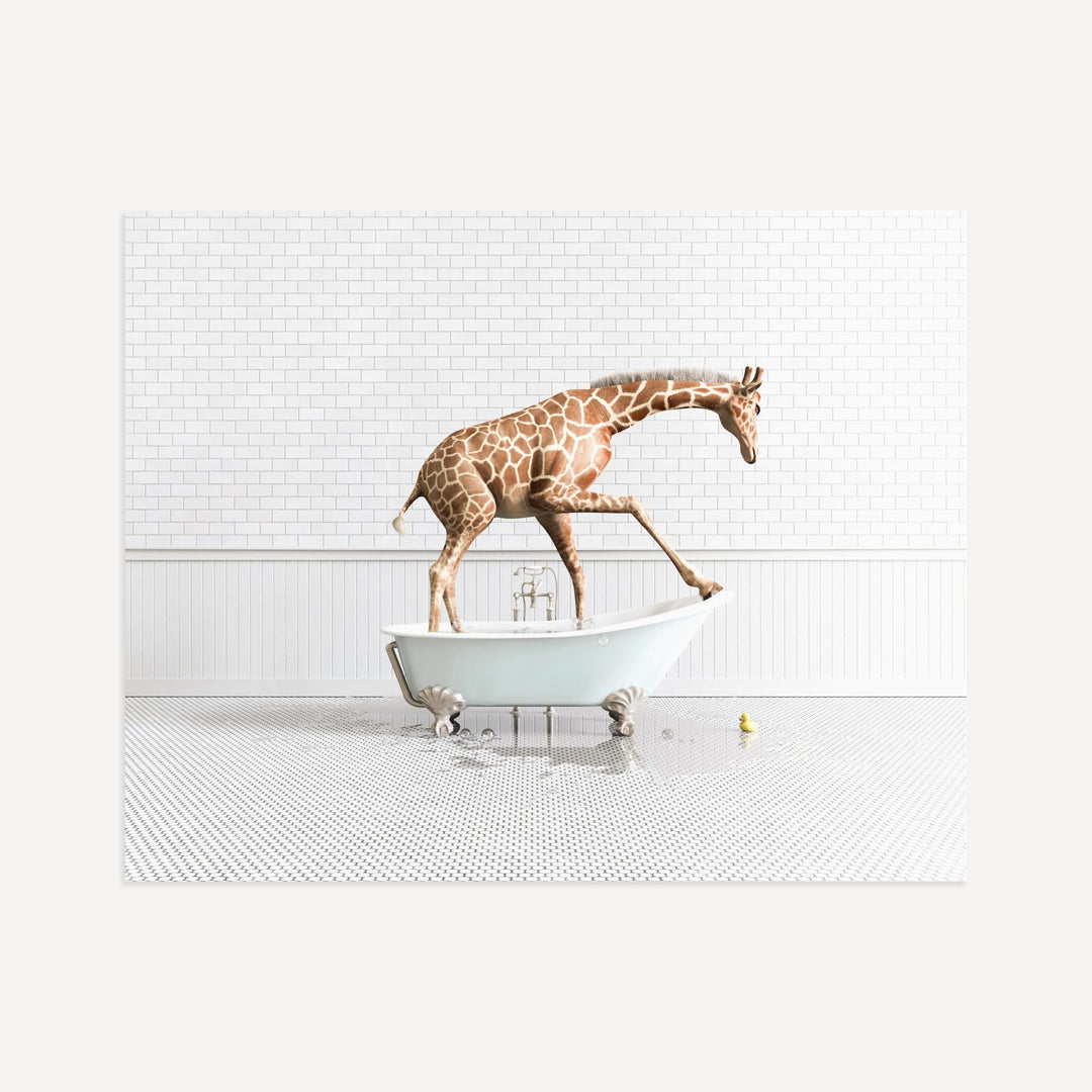 Giraffe in Blue Bathtub