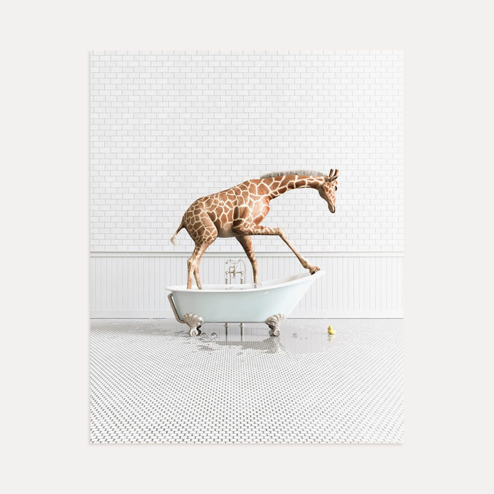 Giraffe in Blue Bathtub