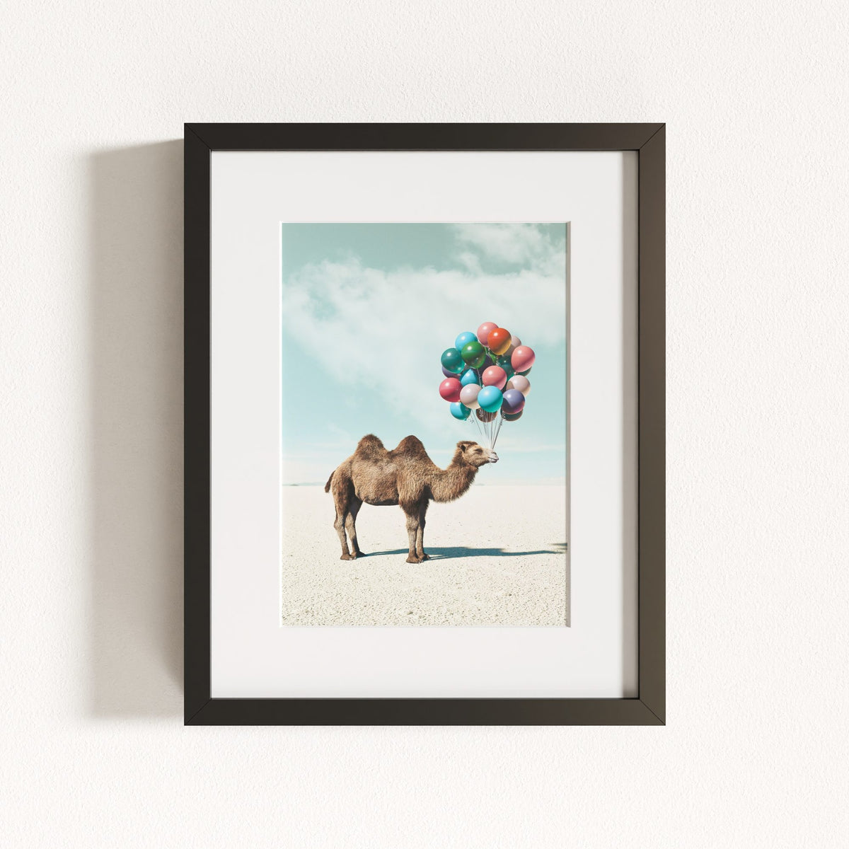 Up, Up & Away Collection