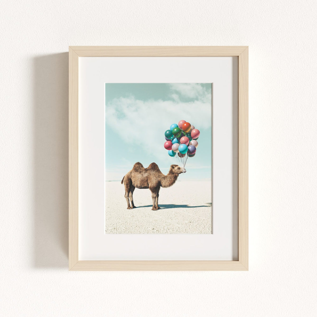 Up, Up & Away Collection
