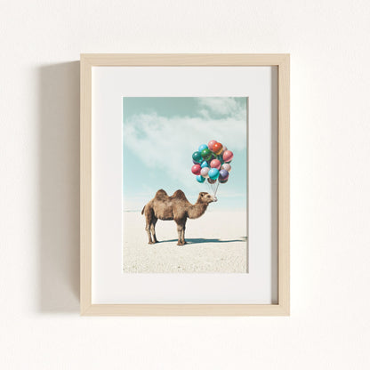 Up, Up & Away Collection