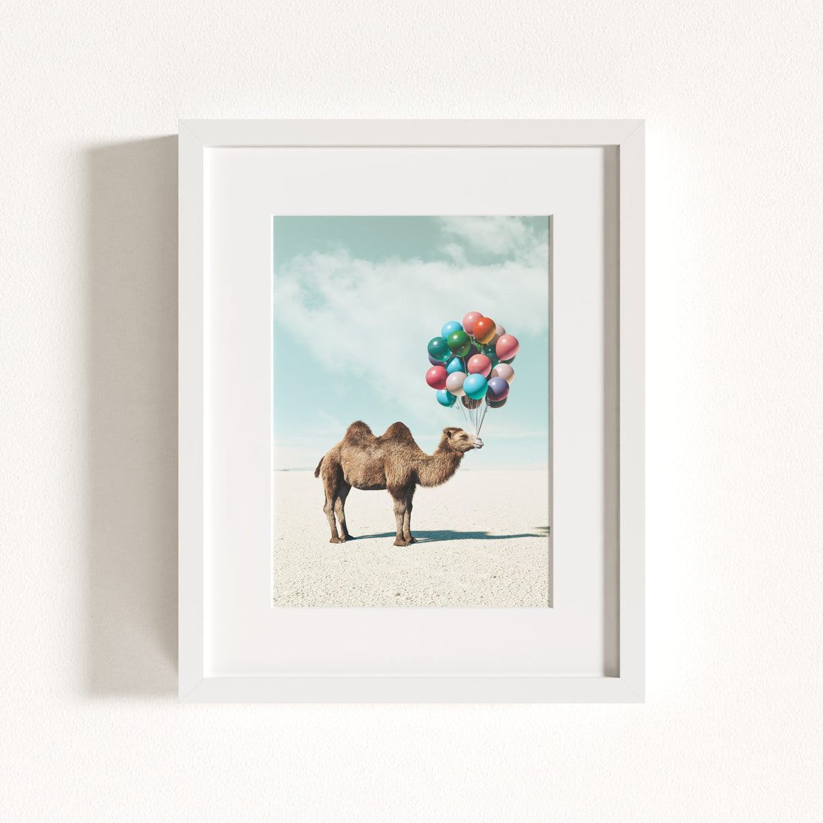 Up, Up & Away Collection