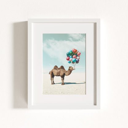 Up, Up & Away Collection