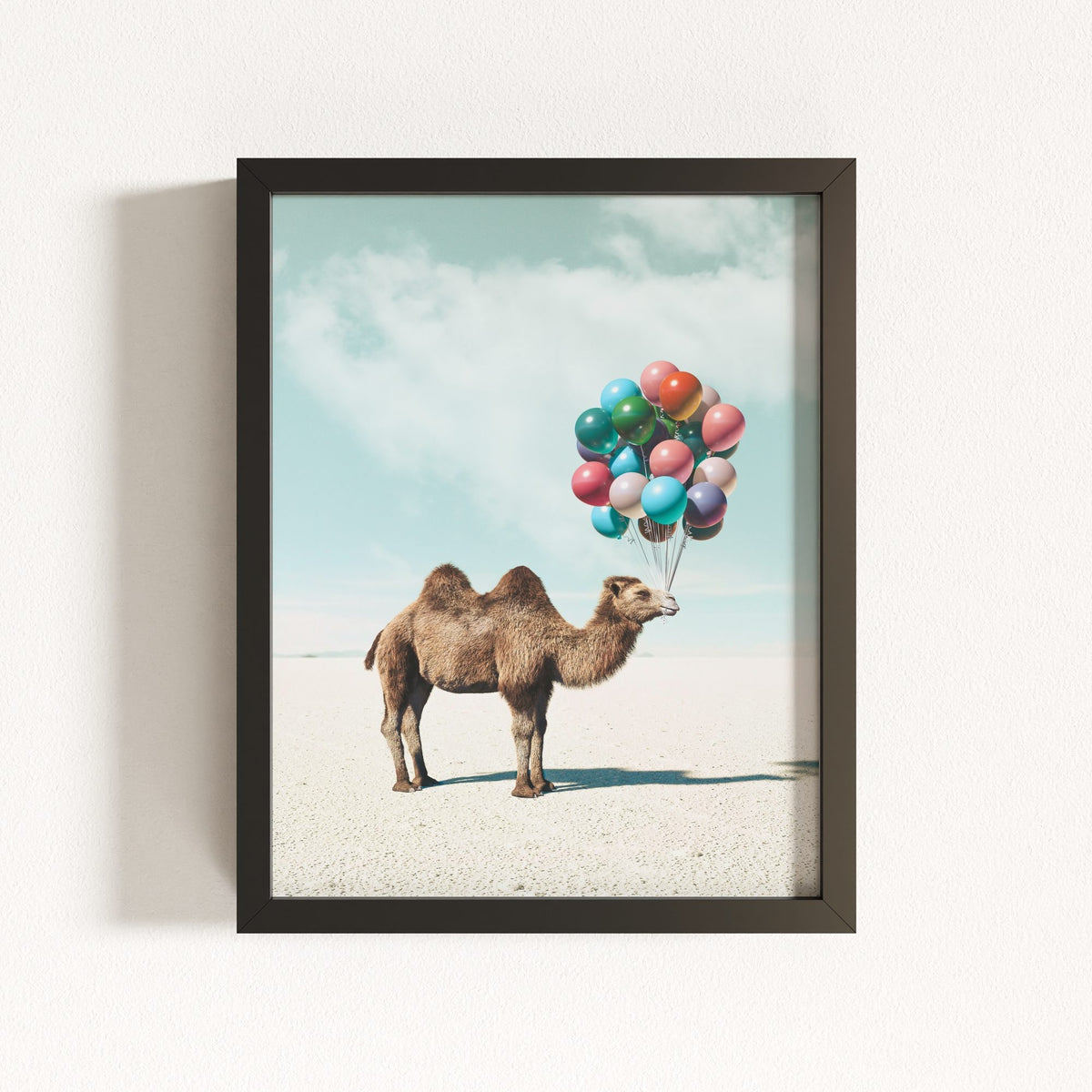 Up, Up & Away Collection