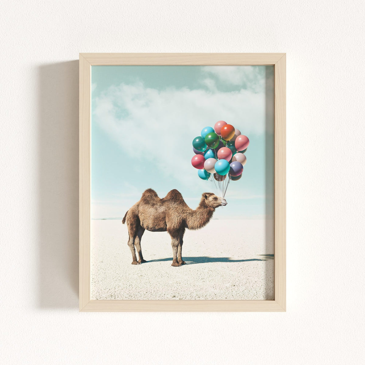 Up, Up & Away Collection