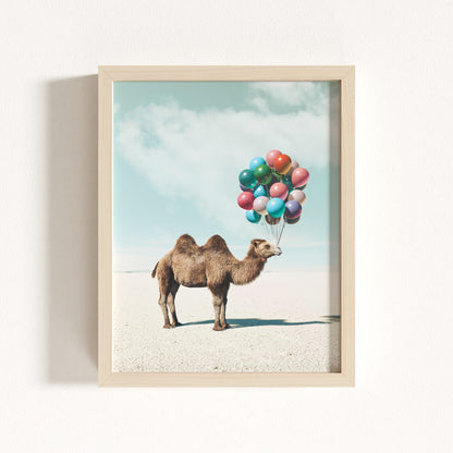 Up, Up & Away Collection