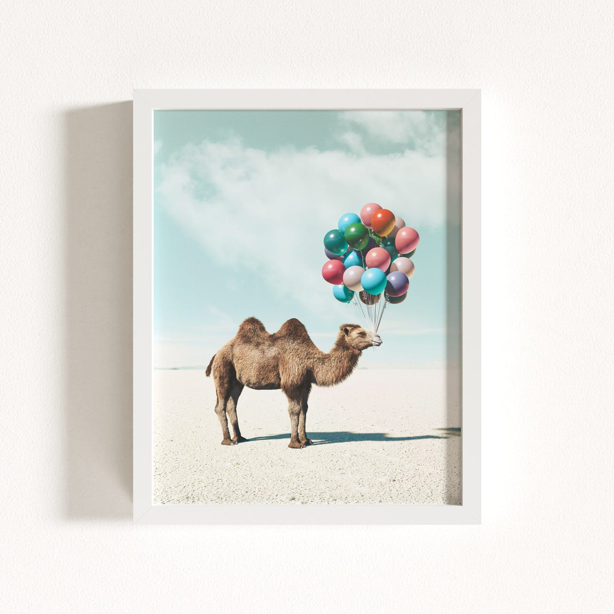 Up, Up & Away Collection