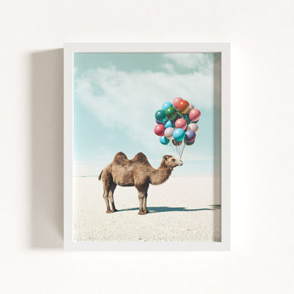 Up, Up & Away Collection