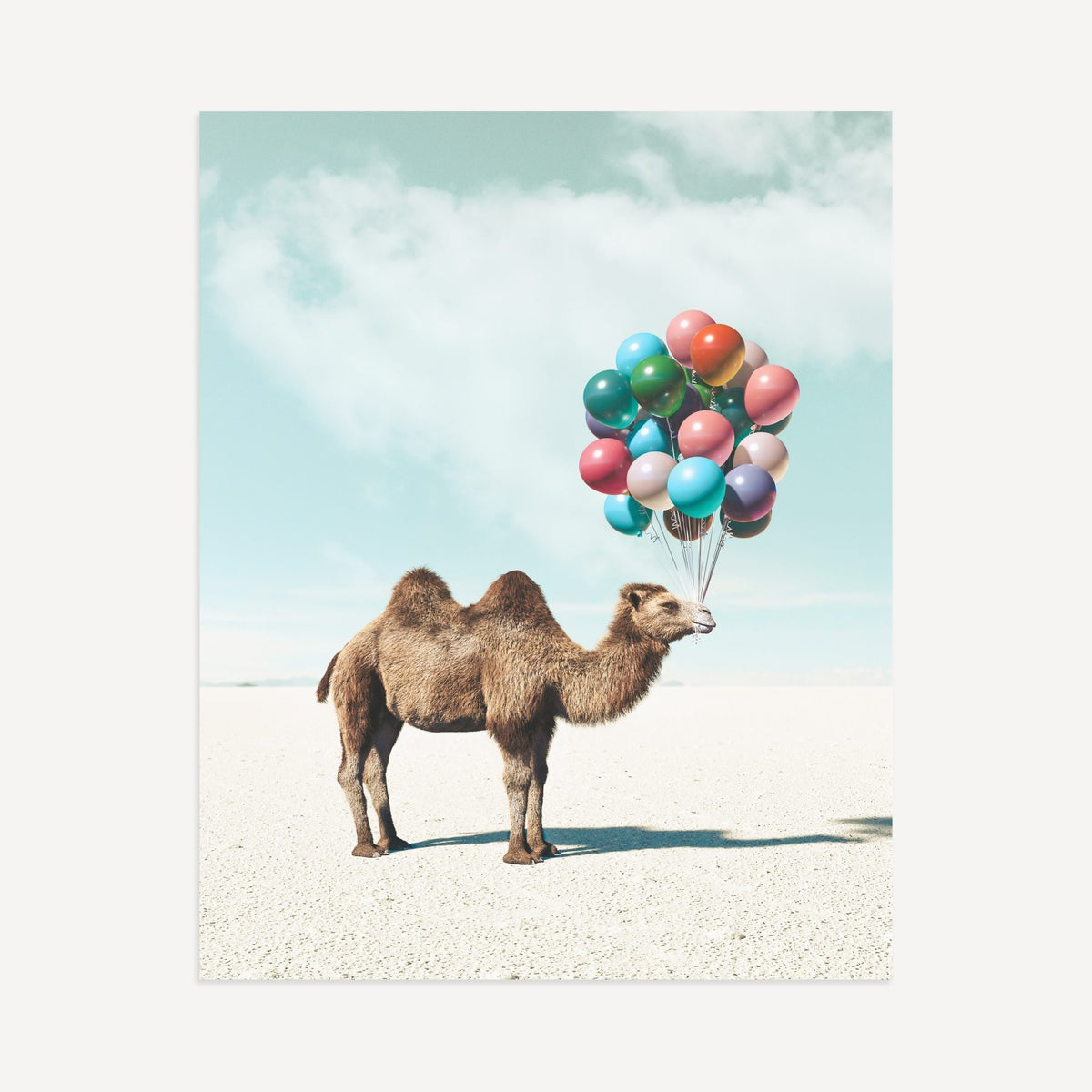 Up, Up & Away Collection