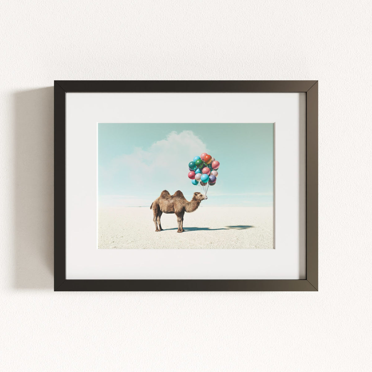 Up, Up & Away Collection