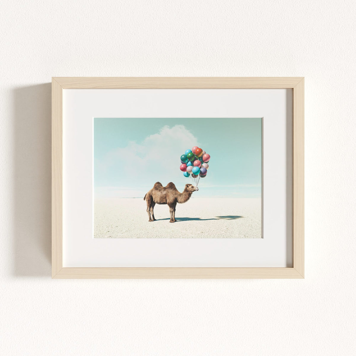 Up, Up & Away Collection