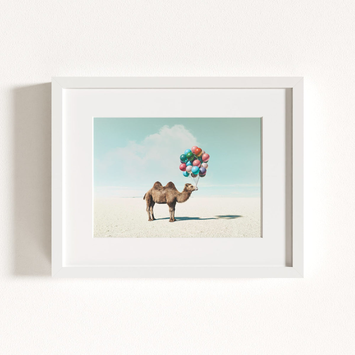 Up, Up & Away Collection