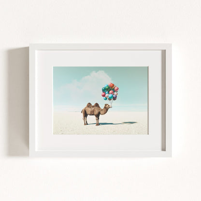 Up, Up & Away Collection