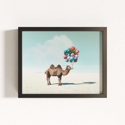 Up, Up & Away Collection
