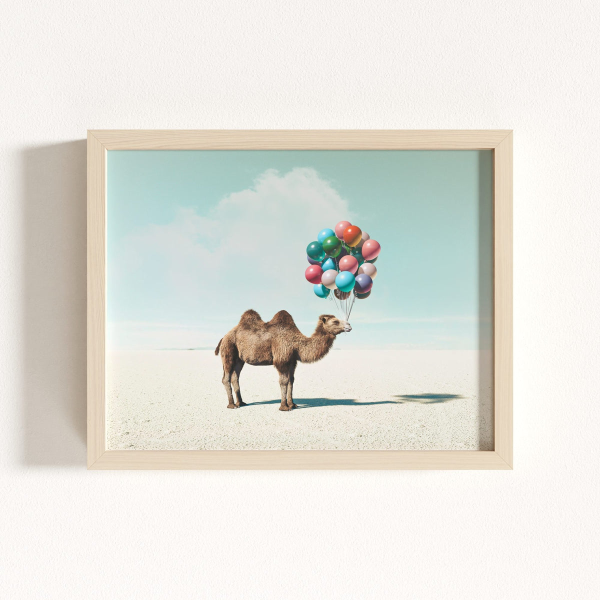 Up, Up & Away Collection