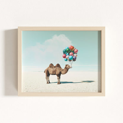 Up, Up & Away Collection