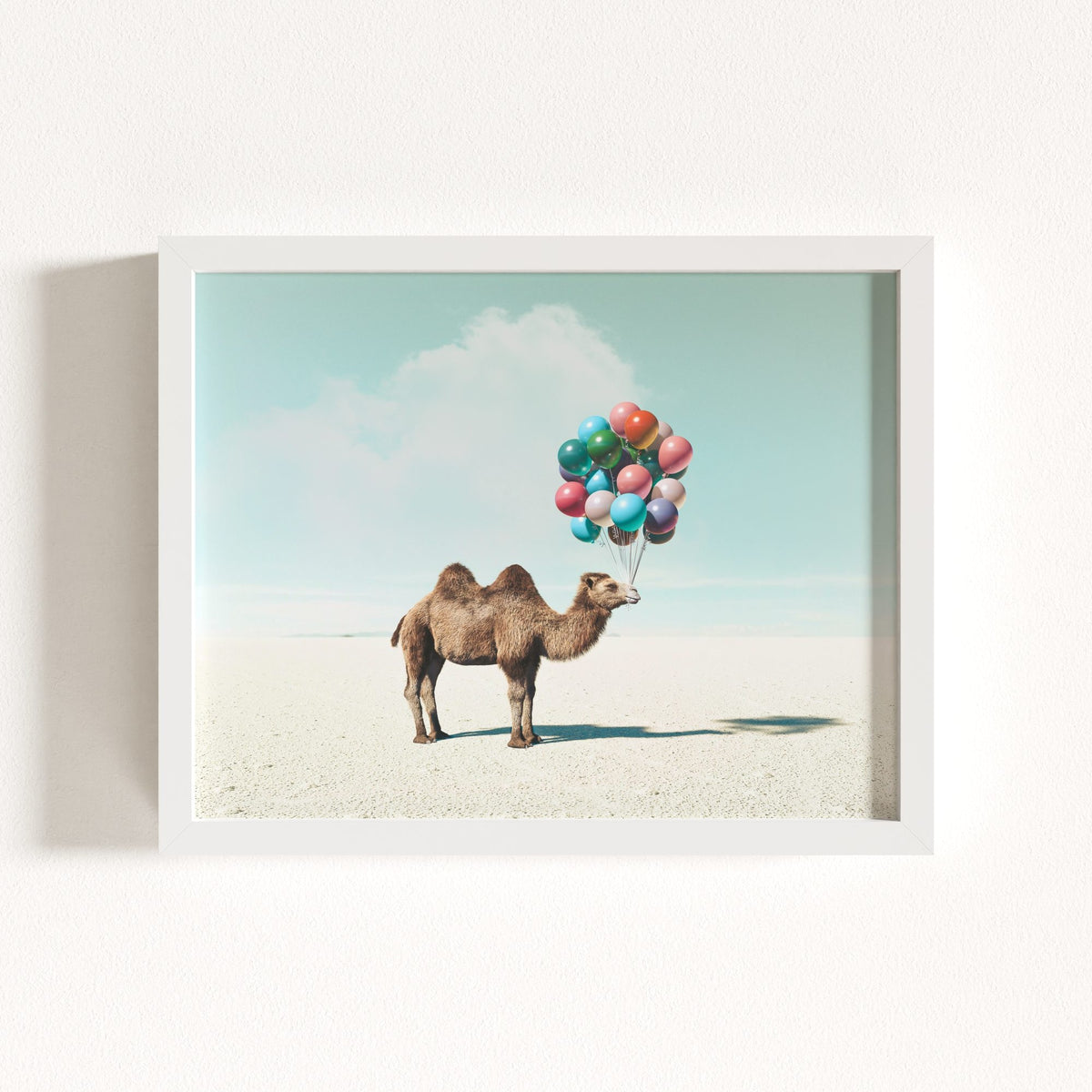 Up, Up & Away Collection