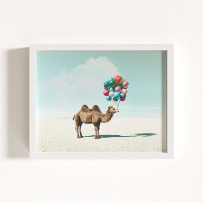 Up, Up & Away Collection