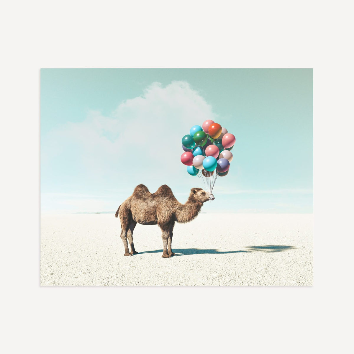 Up, Up & Away Collection