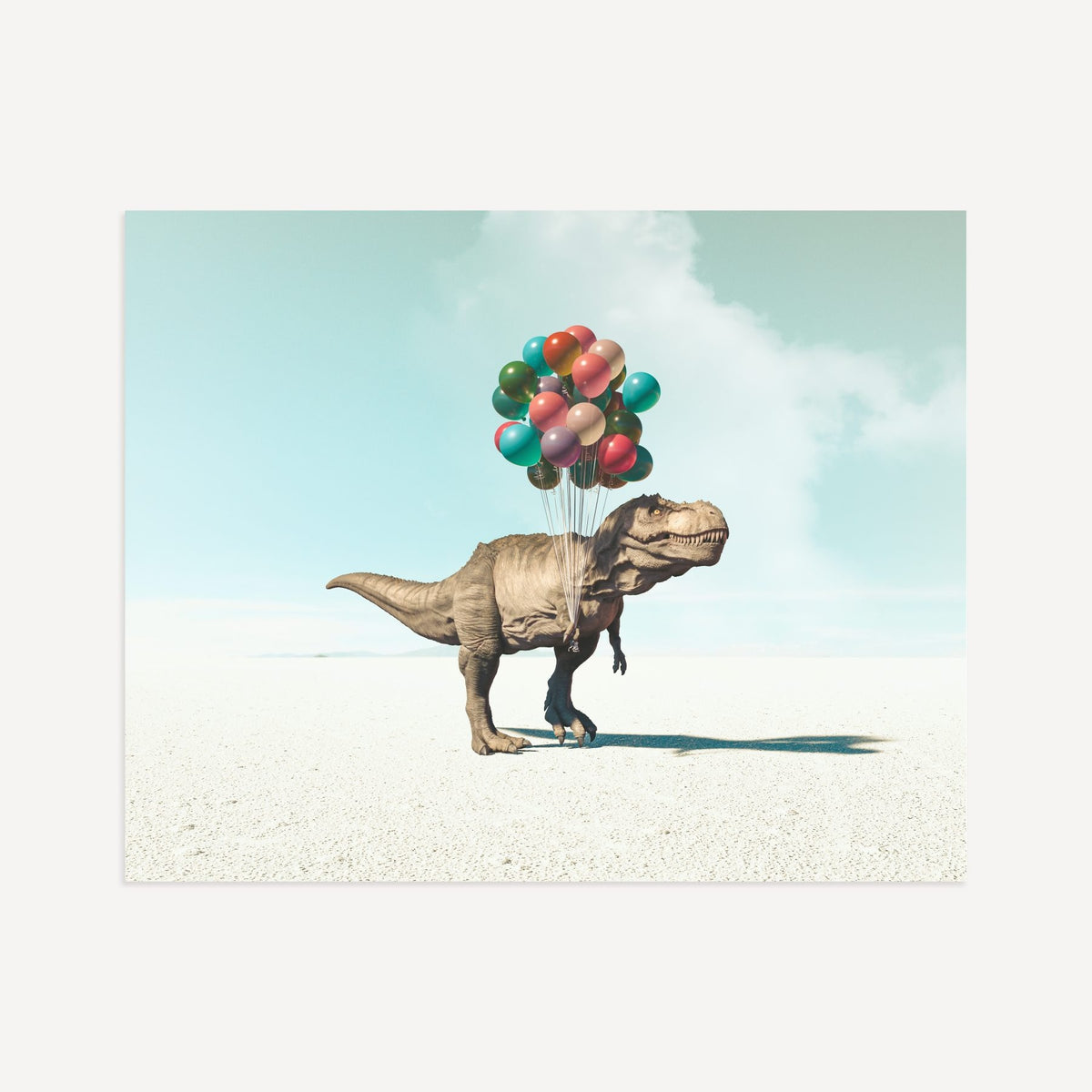 Up, Up & Away Collection